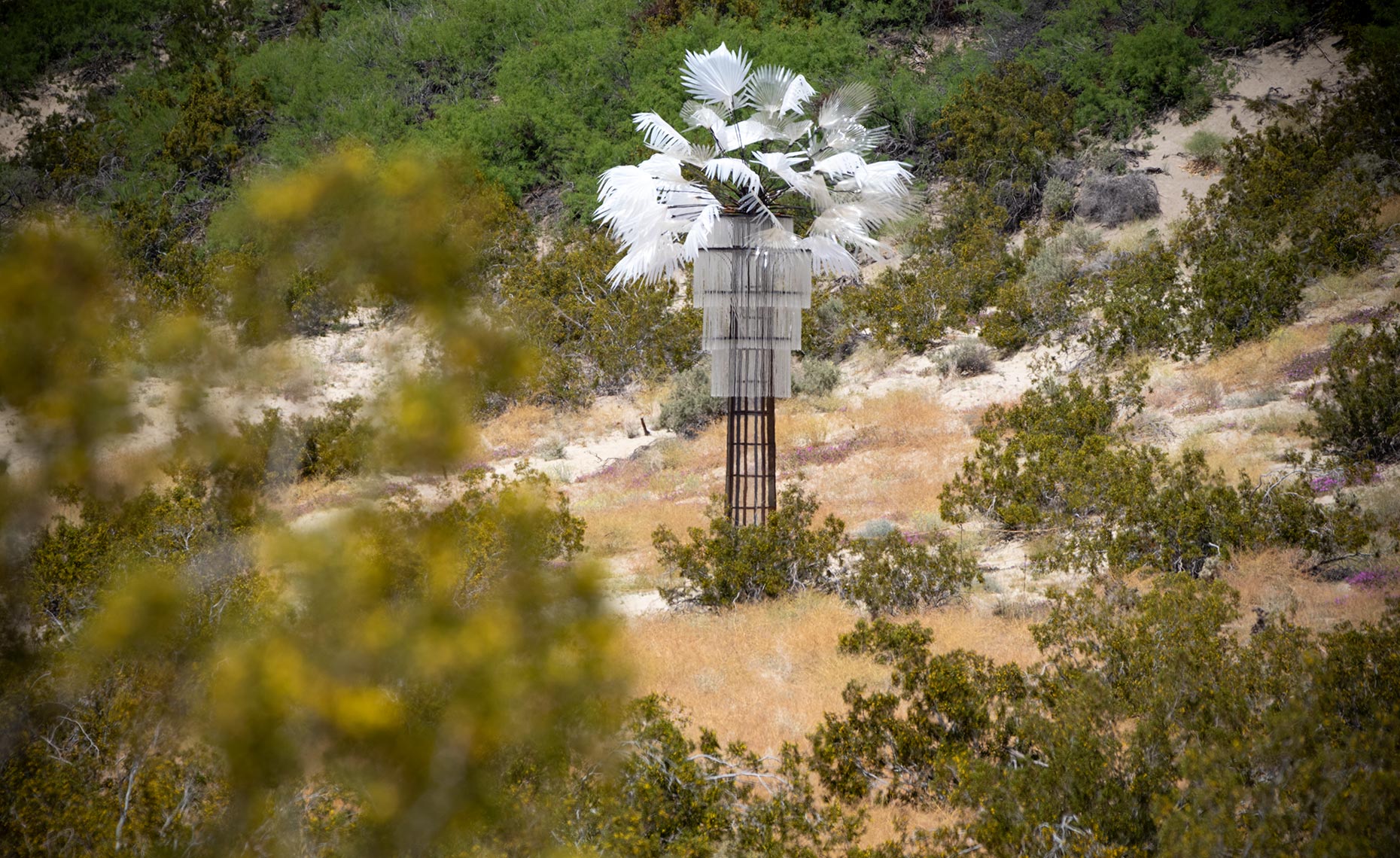 Desert X 2019: "Ghost Palm" by Katie Ryan, 2019